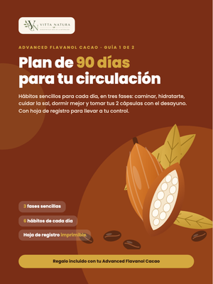 Plan de 90 días para tu circulación