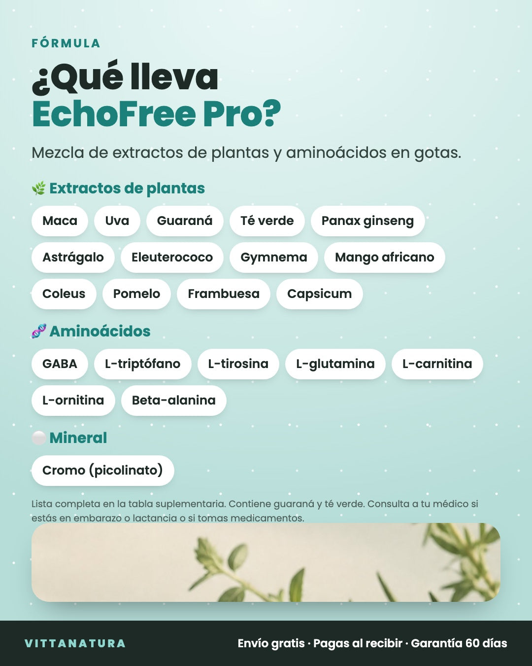 Ingredientes de EchoFree Pro: extractos de plantas, aminoácidos y cromo