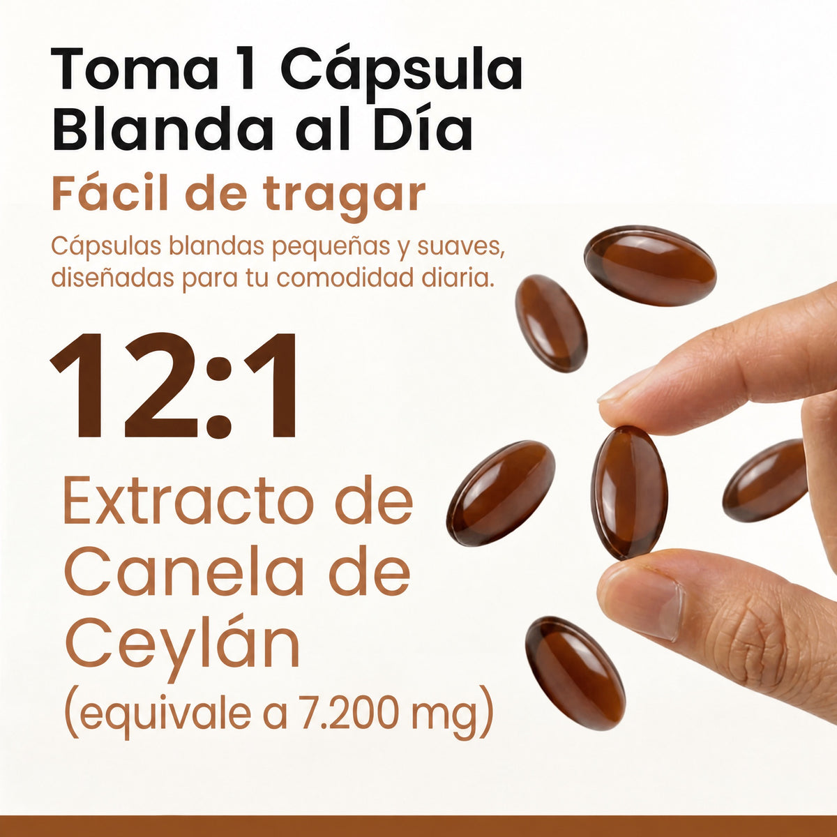 Toma 1 cápsula blanda al día: extracto 12:1 equivalente a 7.200 mg