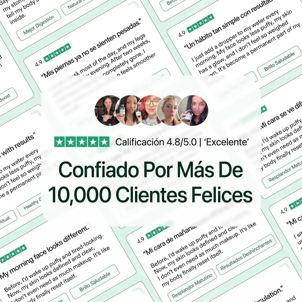 Mayaverra: confiado por más de 10.000 clientes felices, calificación 4,8 de 5