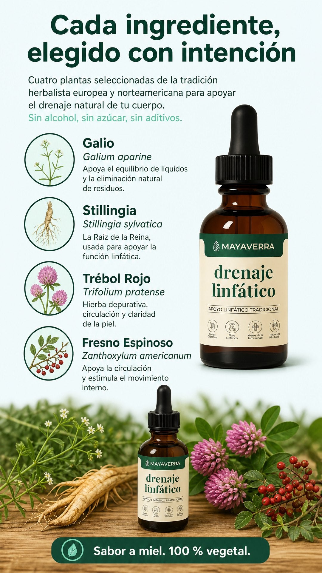 Cada ingrediente elegido con intención: galio, stillingia, trébol rojo y fresno espinoso